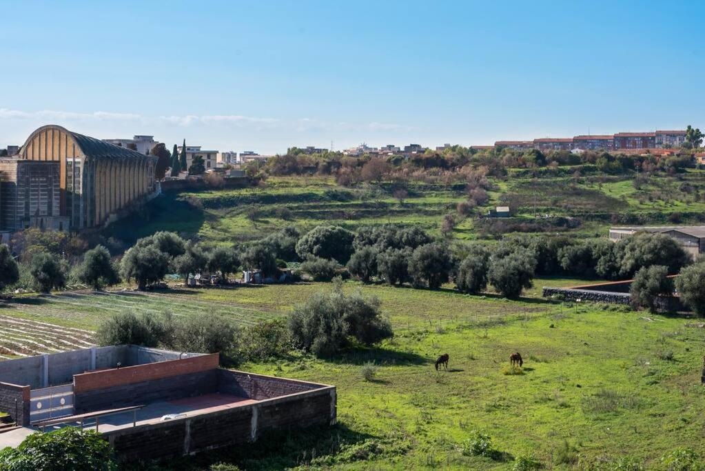 Top Floor Apartment Near Historic Fortino Catania Exterior foto